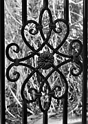 Wall_Art_Alphabet_Photography_Art_ 1602